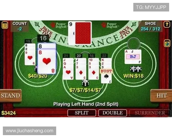 百家乐玩法技巧大全：如何在游戏中实现赢利最大化